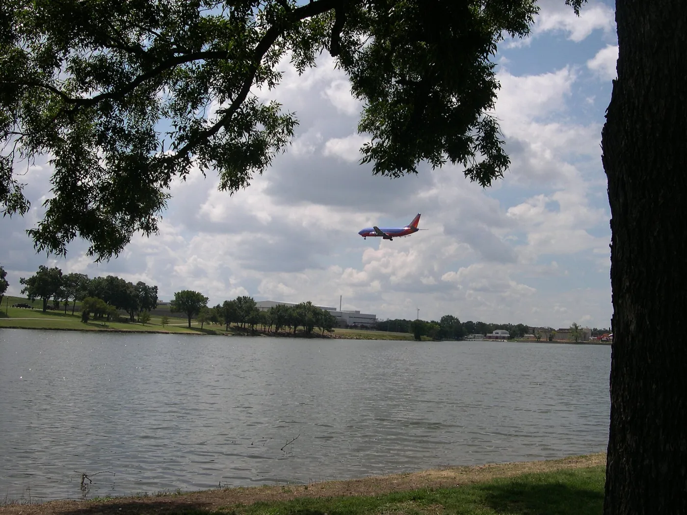 Bachman Lake in Dallas framed by tree branches, with a jet descending toward nearby Love Field